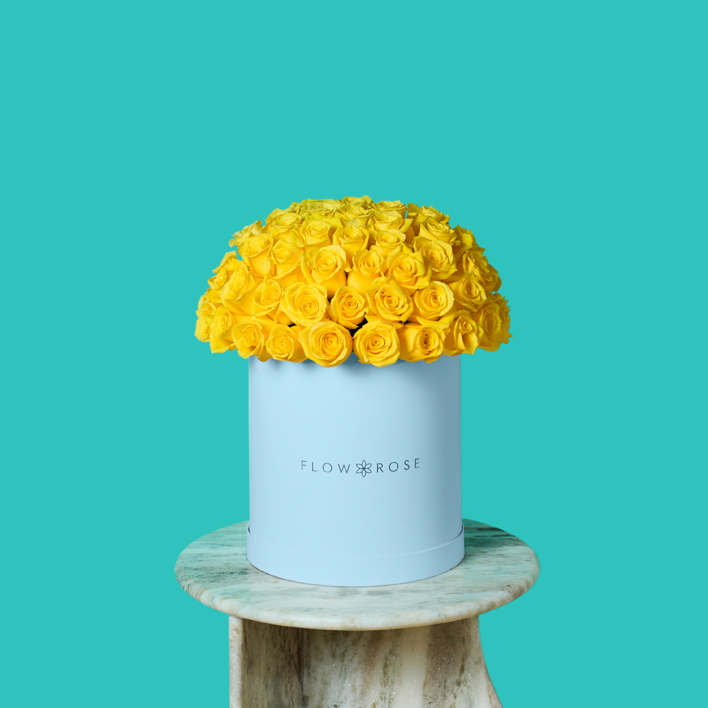 Yellow Rose
