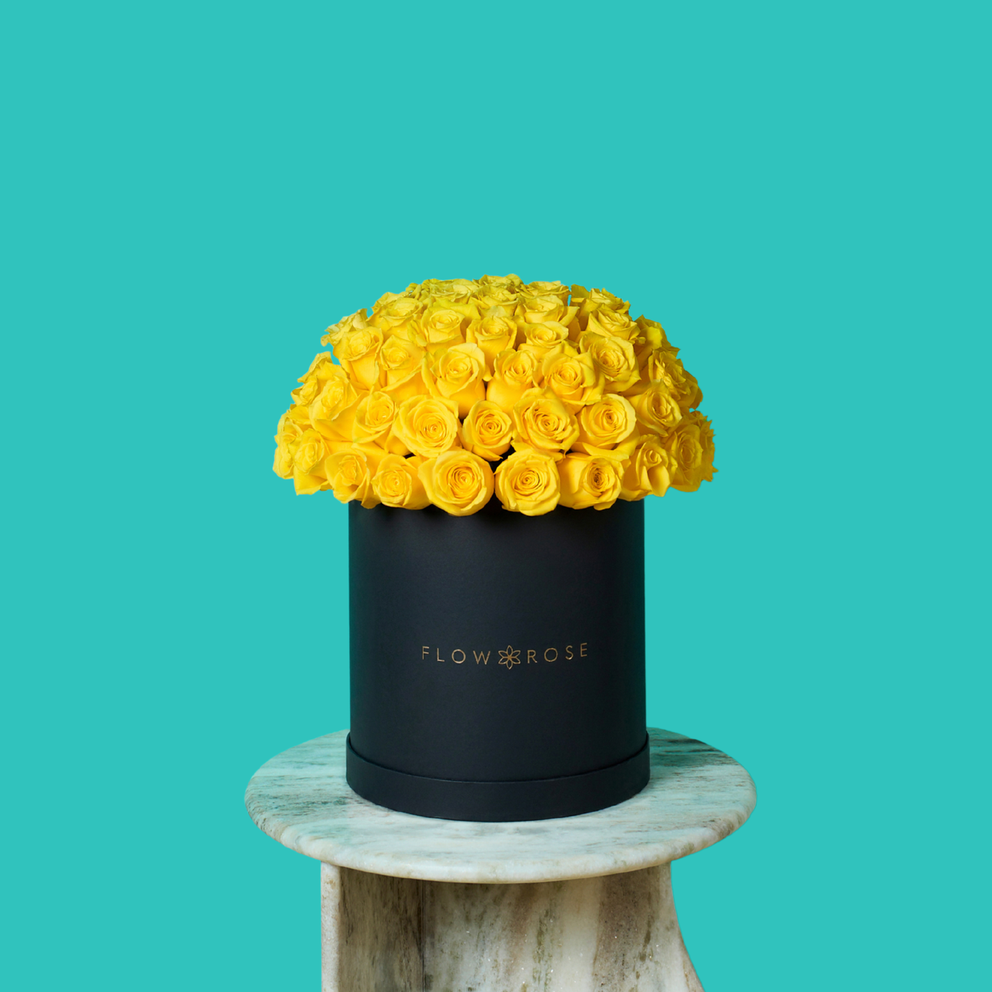 Yellow Rose
