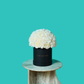 White Carnation
