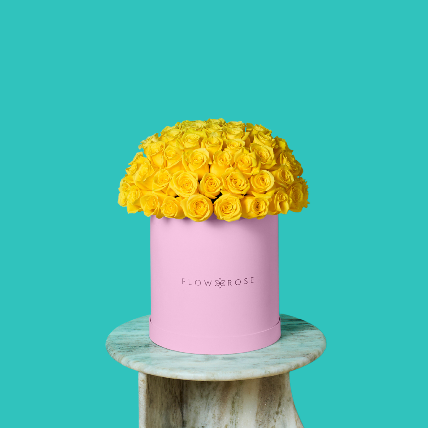 Yellow Rose