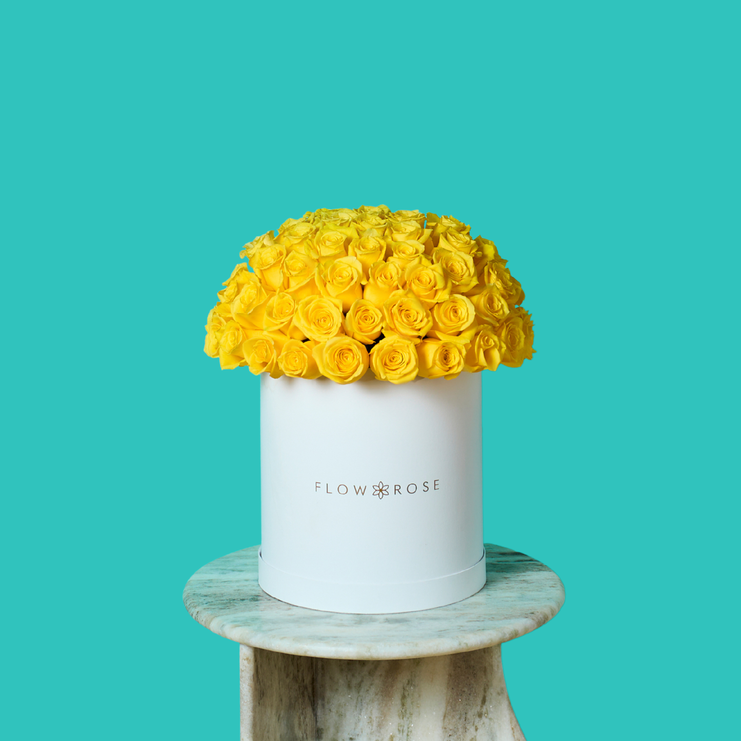 Yellow Rose