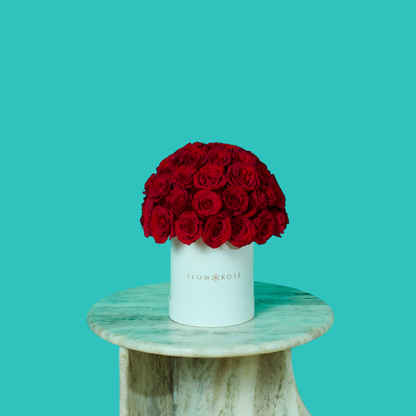 Red Rose