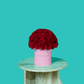 Red Rose