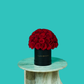 Red Rose