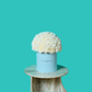 White Carnation