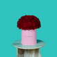 Red Rose