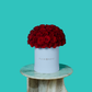Red Rose