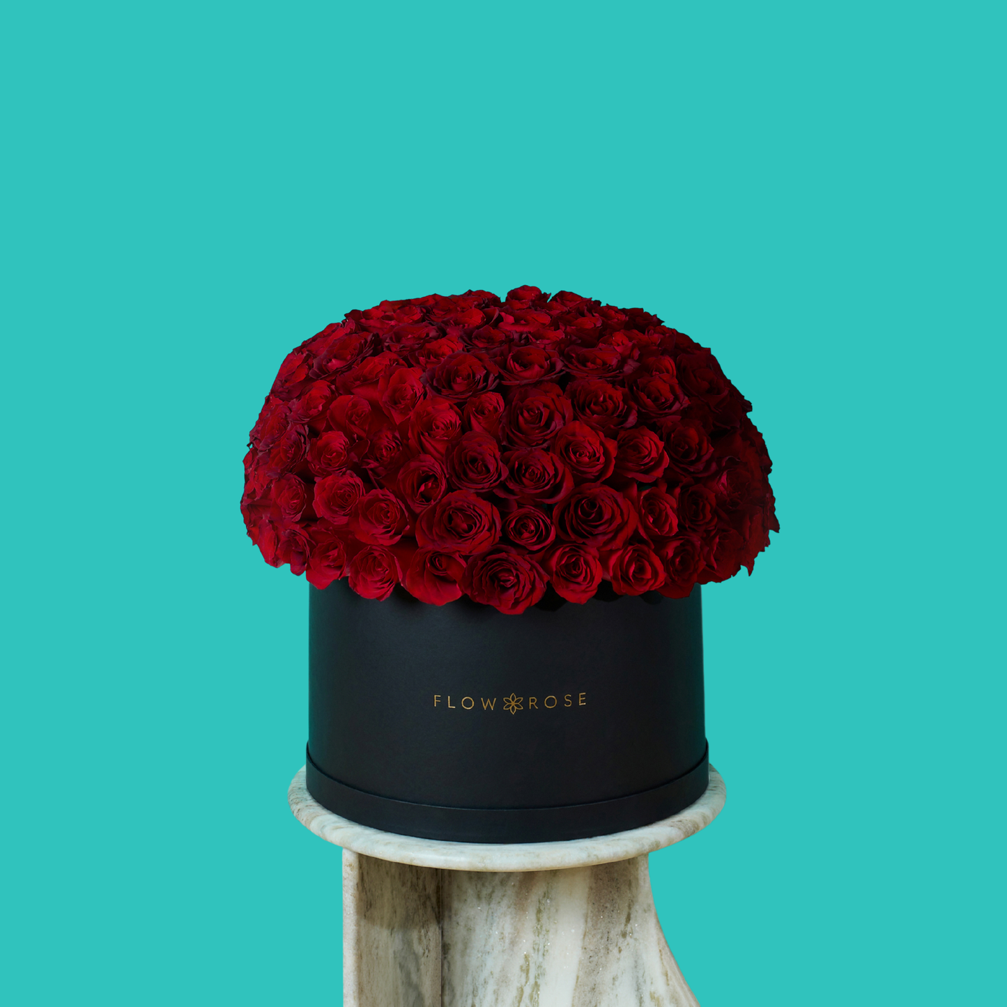 Red Rose