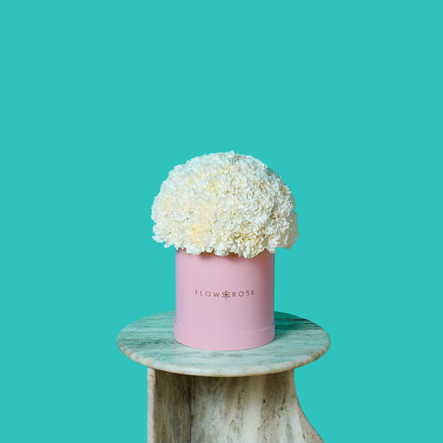 White Carnation