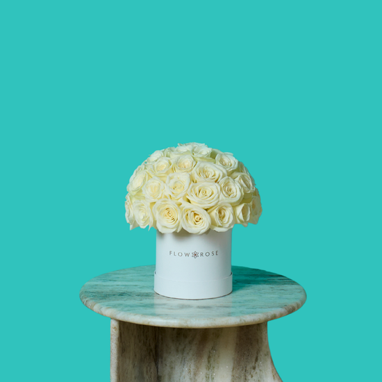 White Rose