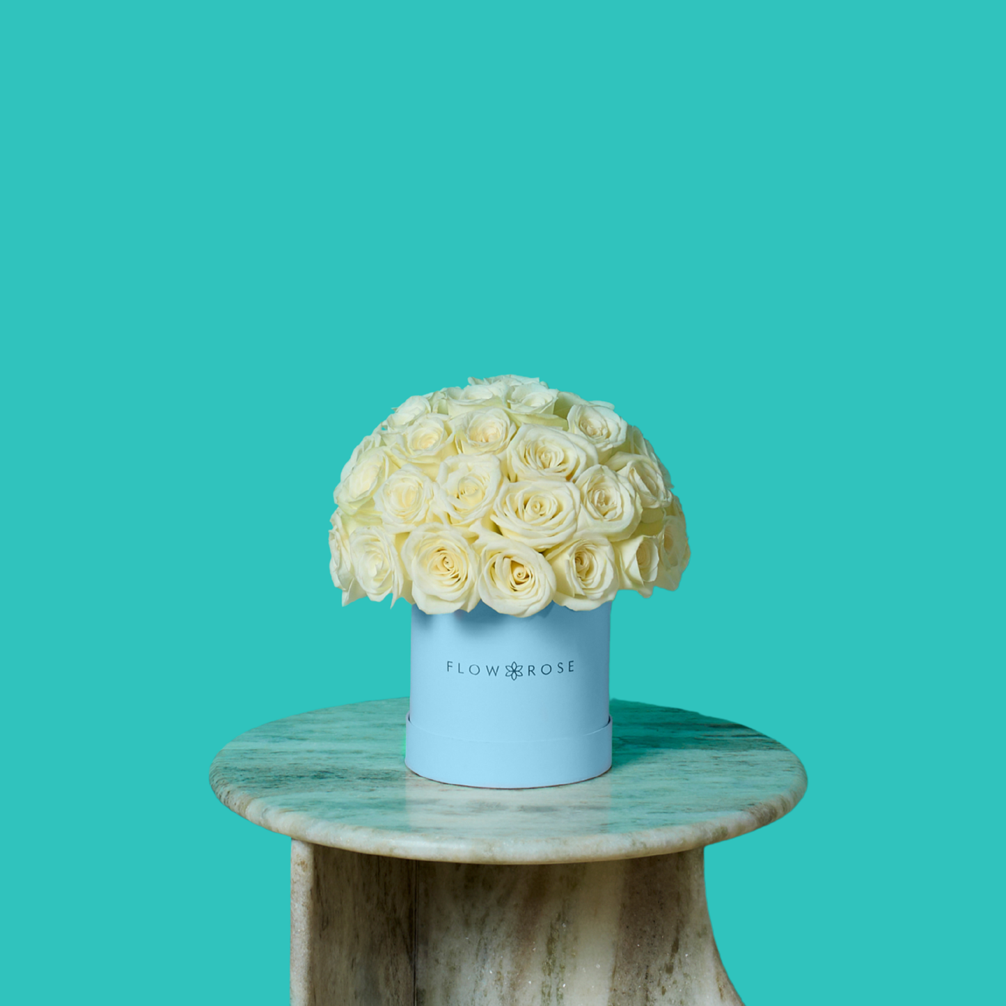 White Rose