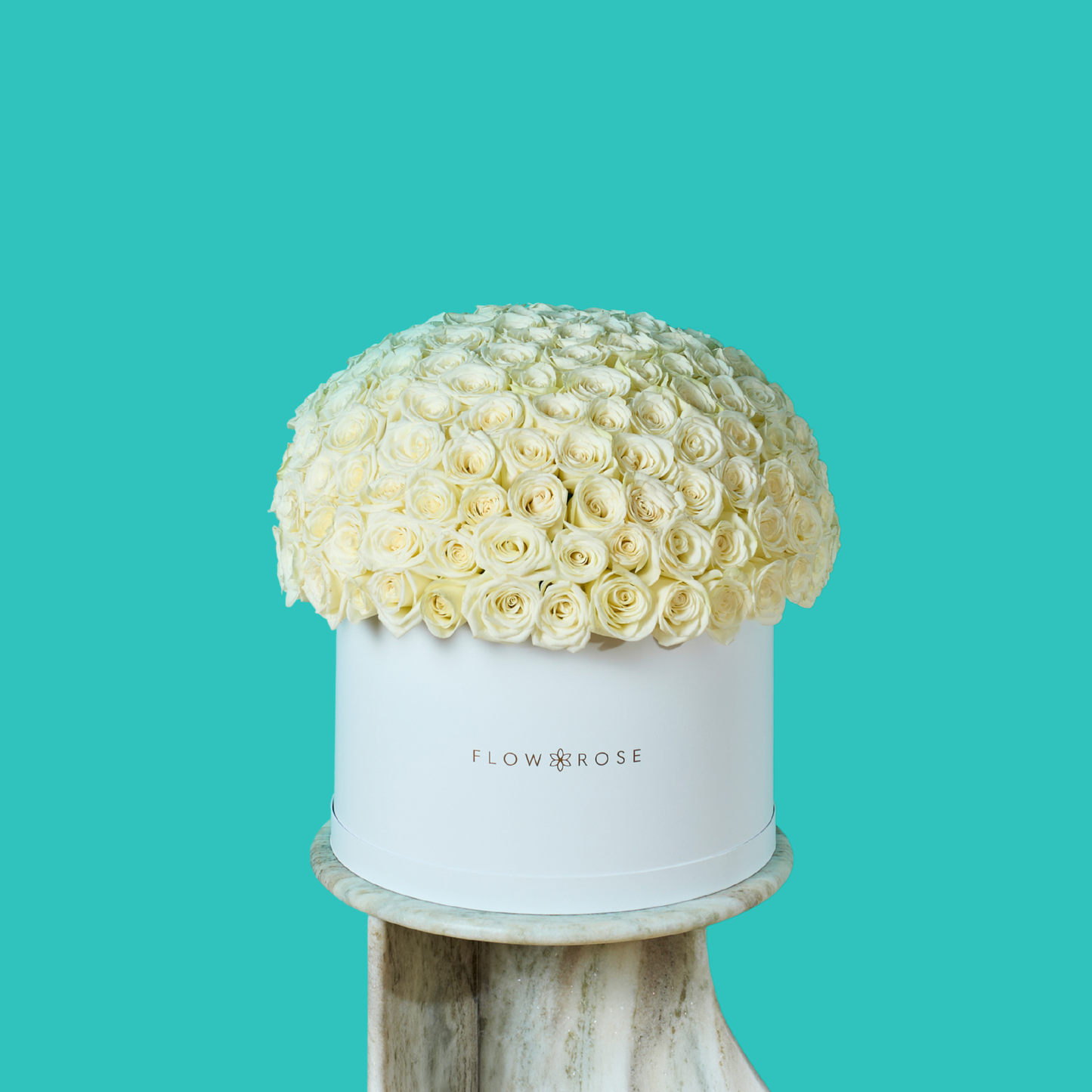 White Rose