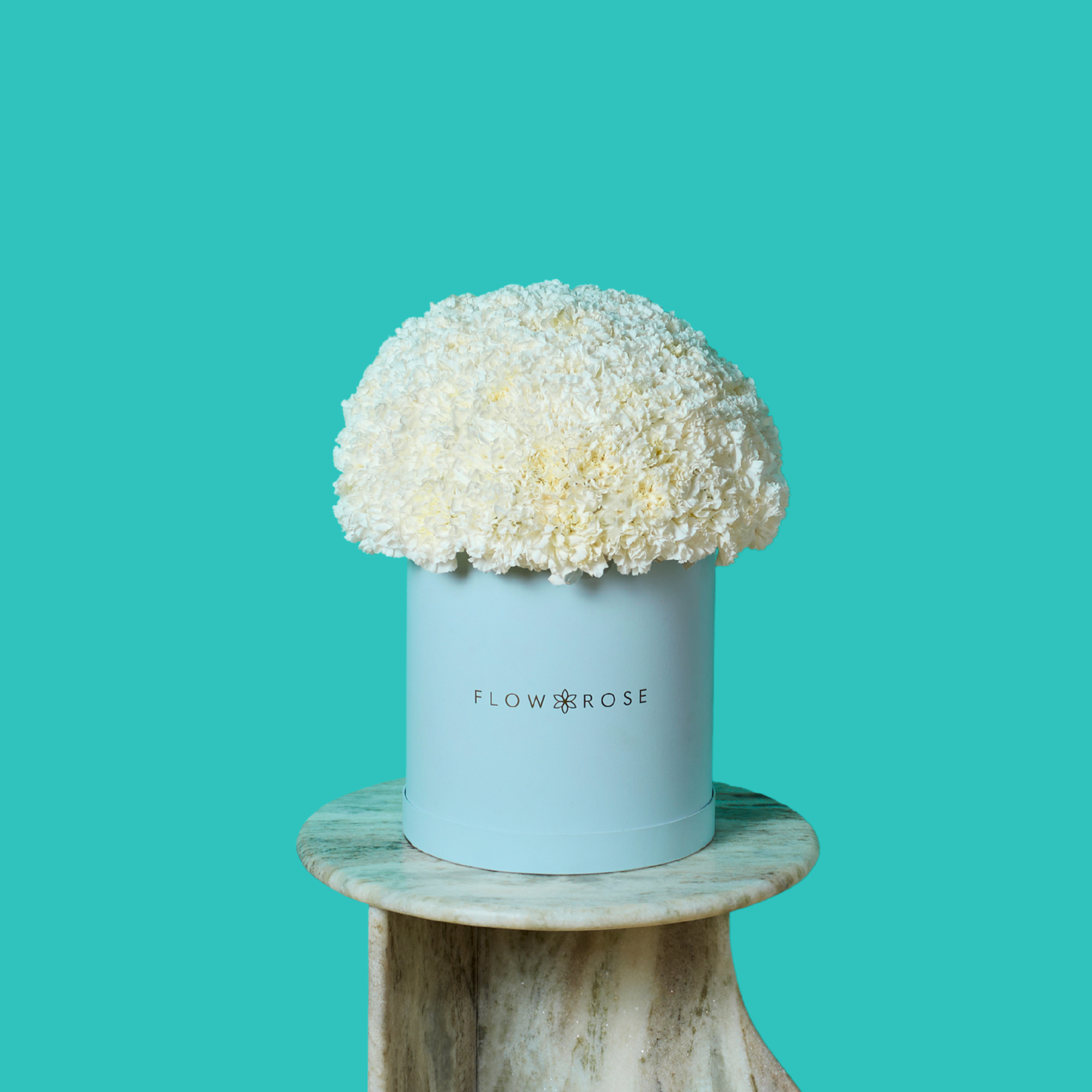 White Carnation