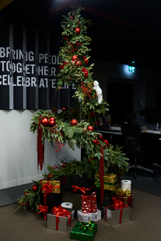 The Enchanted Floating Christmas Tree