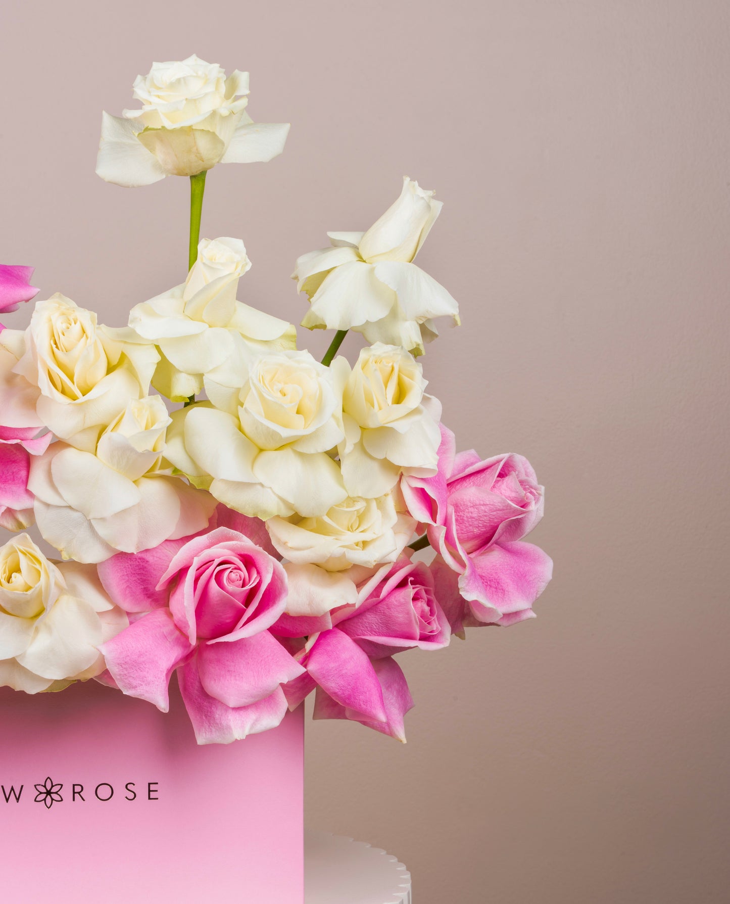 Blush Roses Box