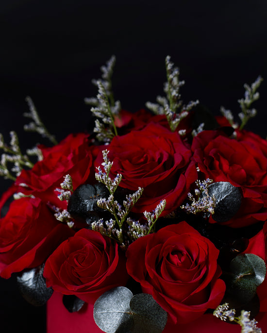Bouquet of red roses with silver leaves against a dark background