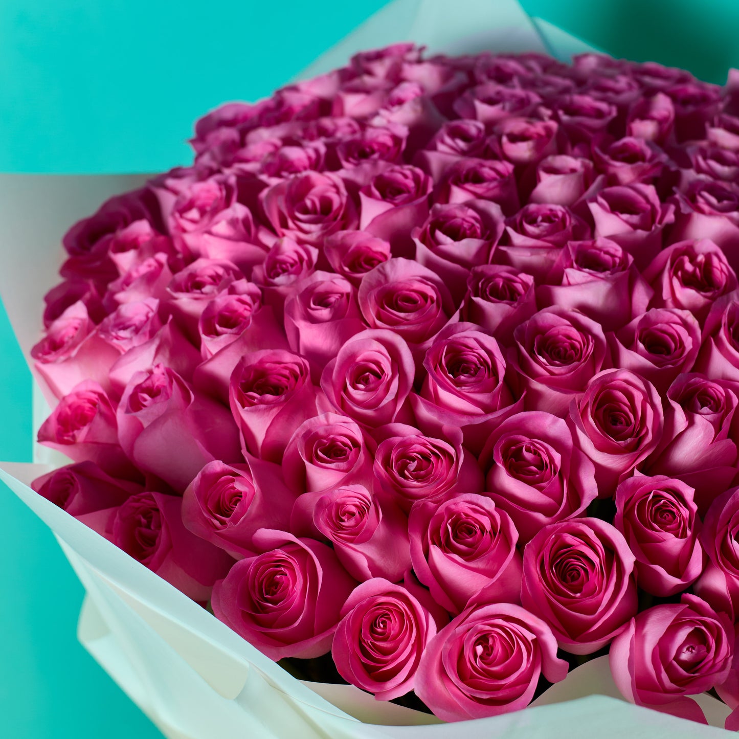 Blush Blooms