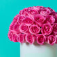 Pink Rose
