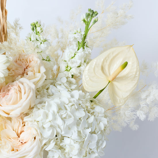 Blanc Serenity