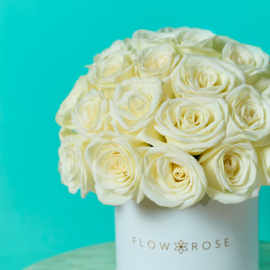 White Rose