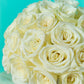 White Rose