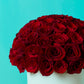 Red Rose