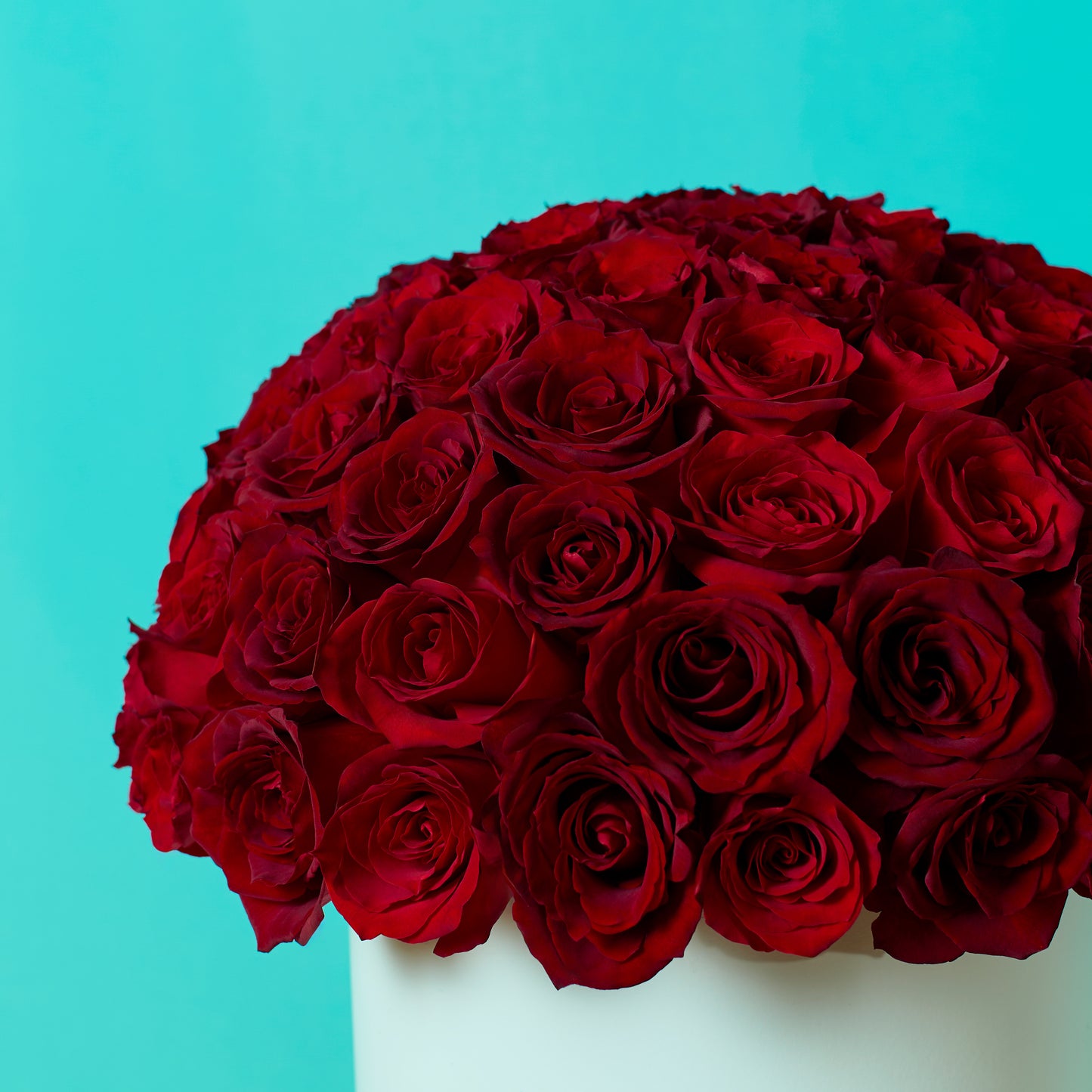 Red Rose