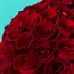 Red Rose