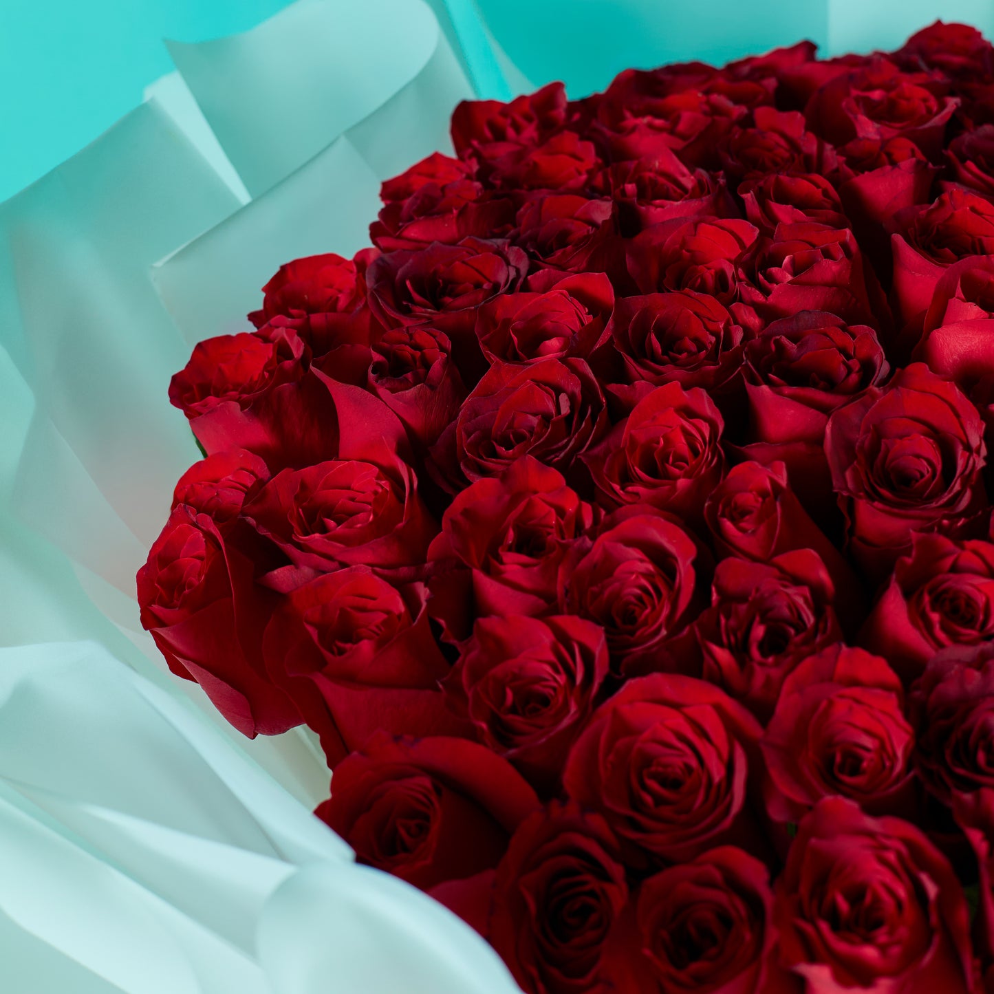 Crimson Blooms