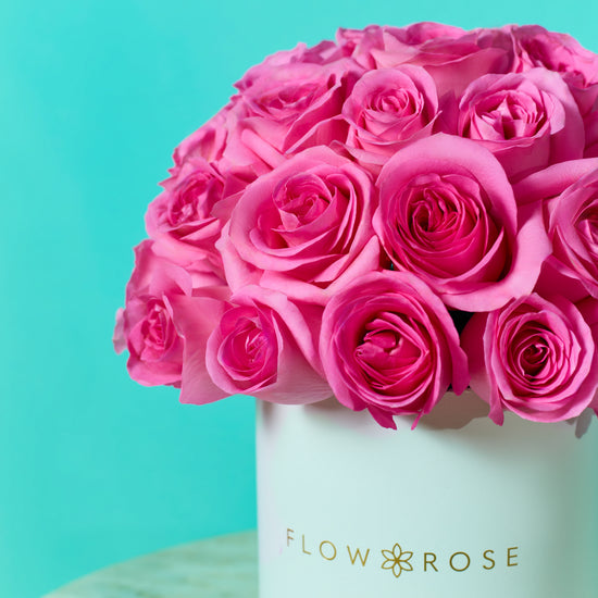Pink Rose