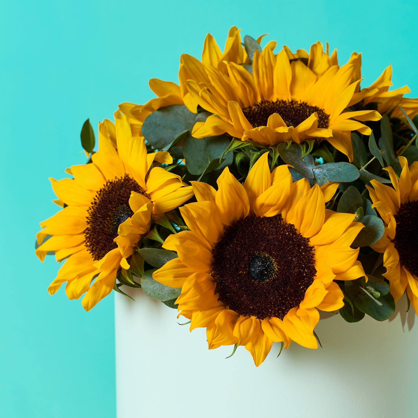 Sunny Sunflower