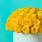 Yellow Rose