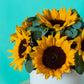 Sunny Sunflower