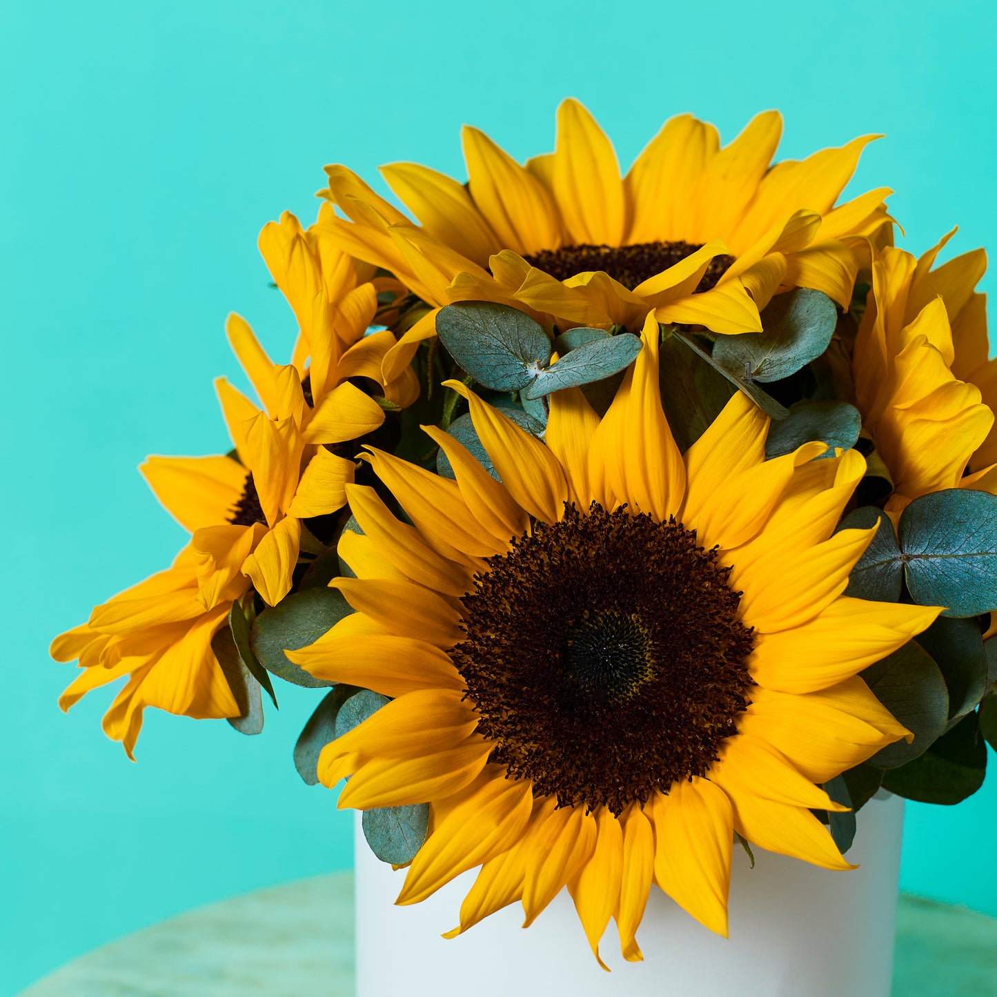 Sunny Sunflower