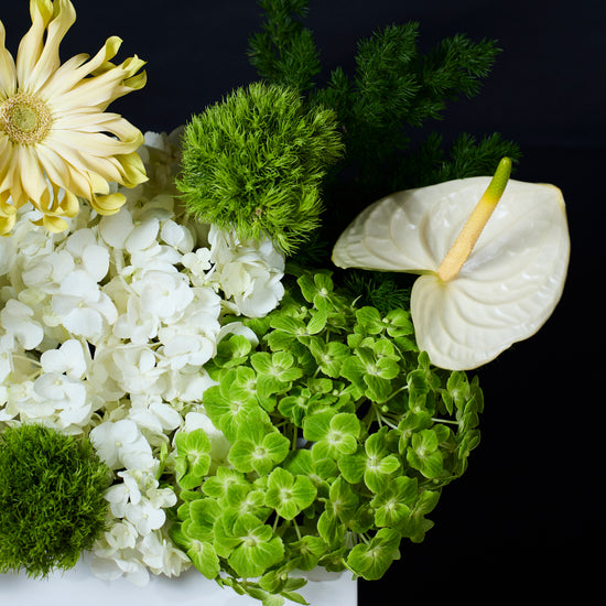 Floral Serenity