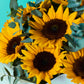 Golden Sunshine