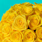 Yellow Rose