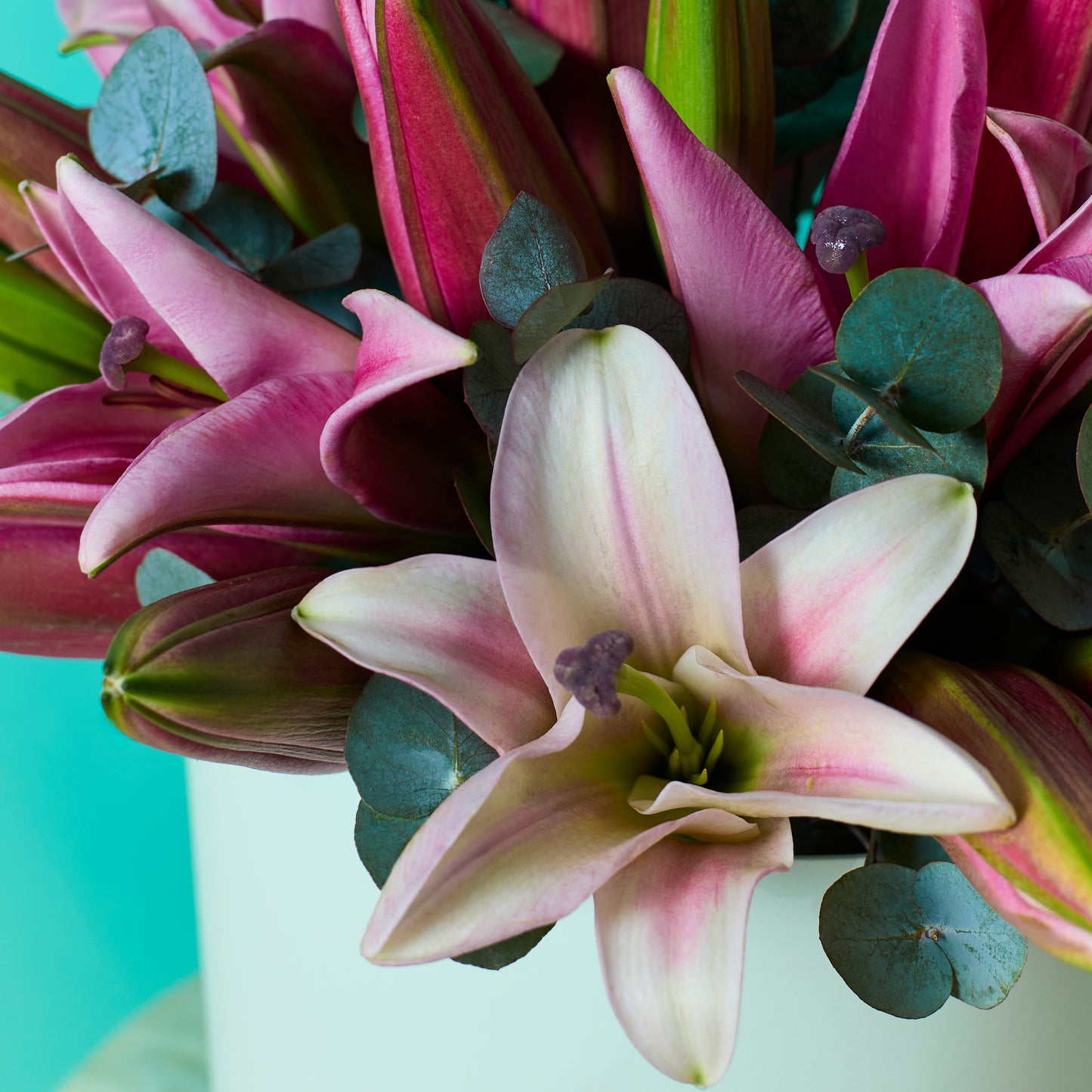 Pink Lilies