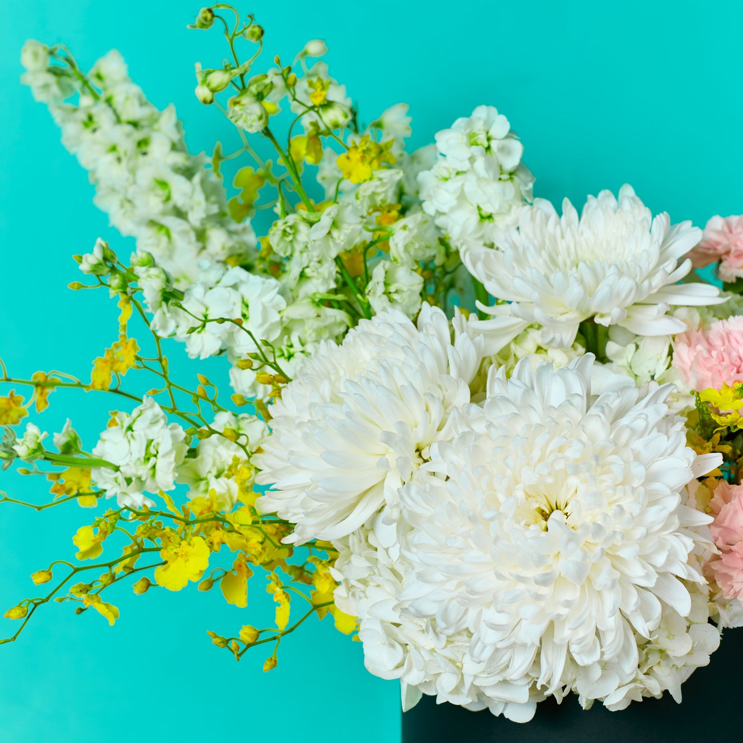Healing Blooms