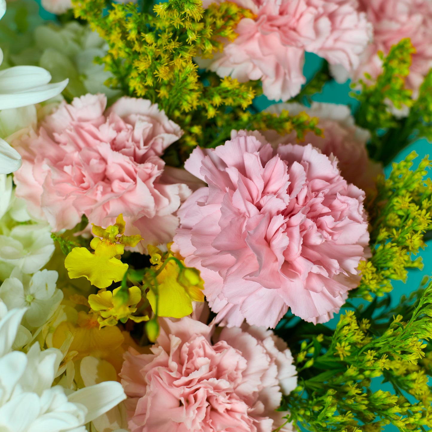Healing Blooms