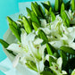 Pure Lilies
