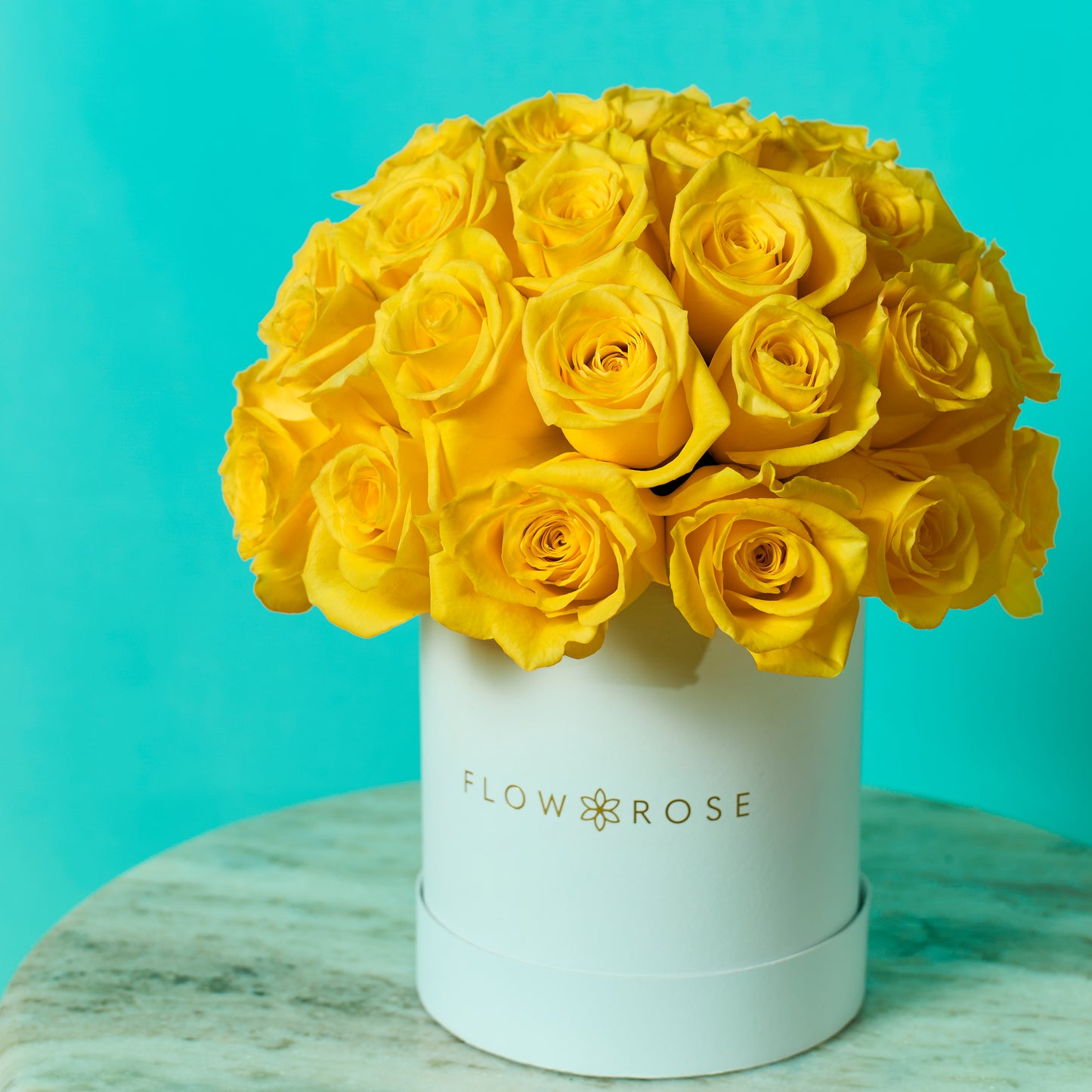 Yellow Rose