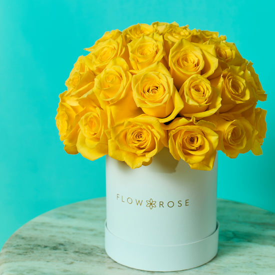 Yellow Rose