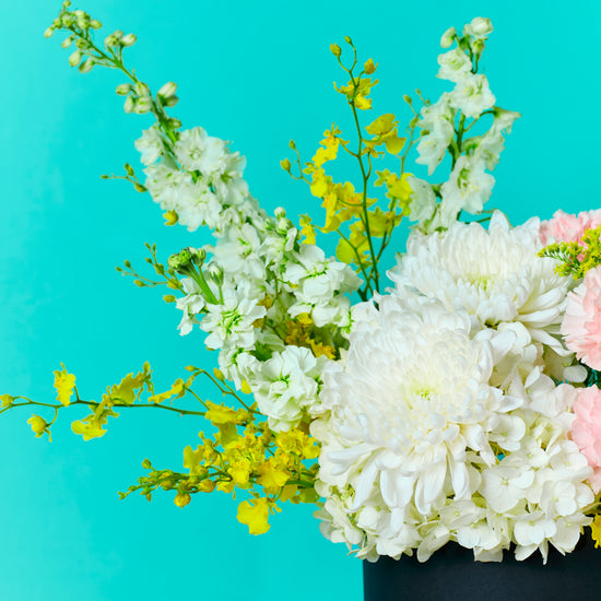 Healing Blooms