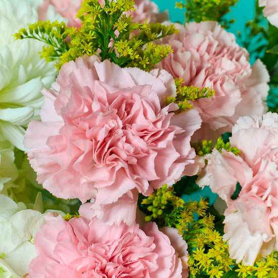 Healing Blooms