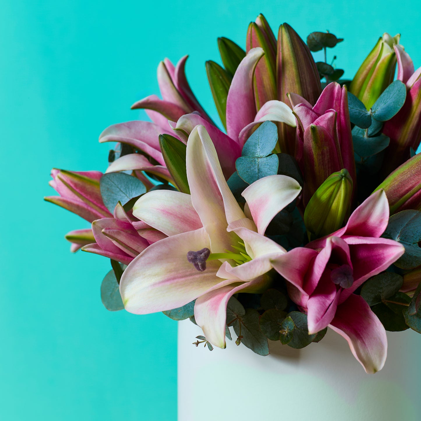Pink Lilies