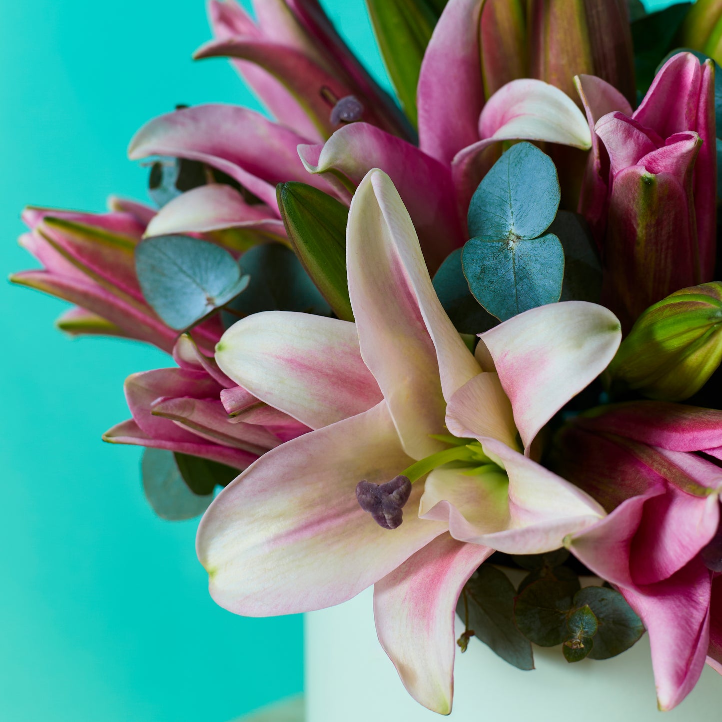Pink Lilies