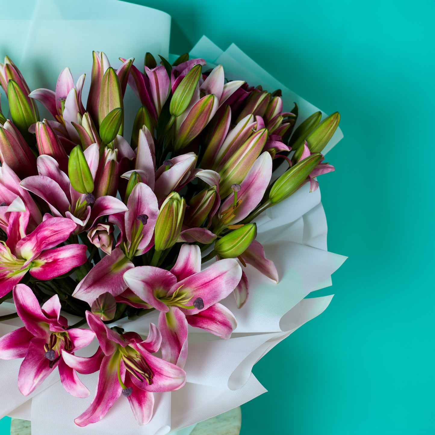 Rosy Lilies
