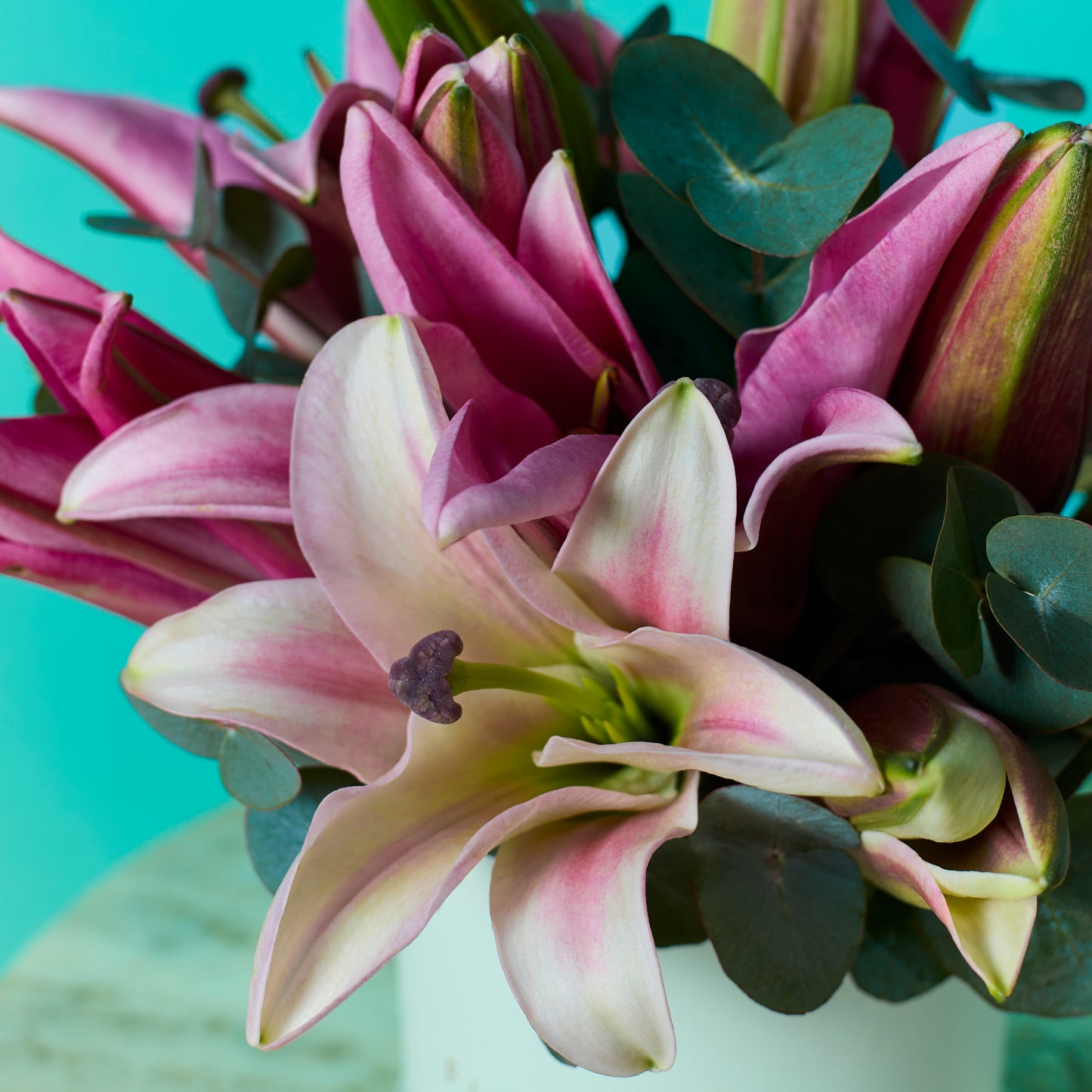 Pink Lilies