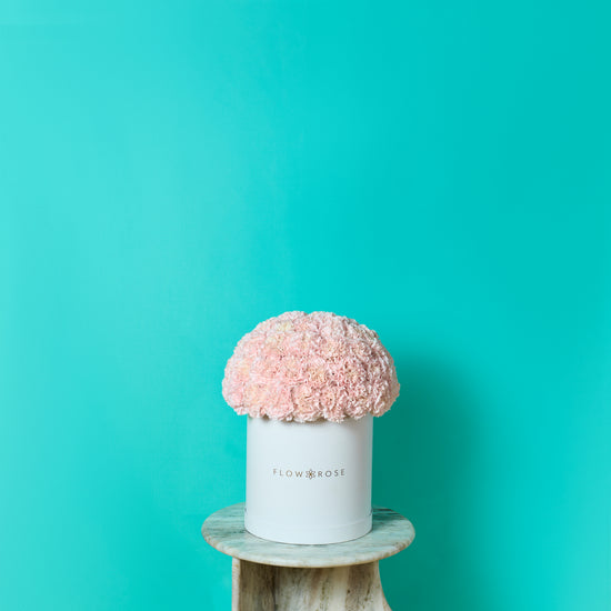 Pink Carnation Box